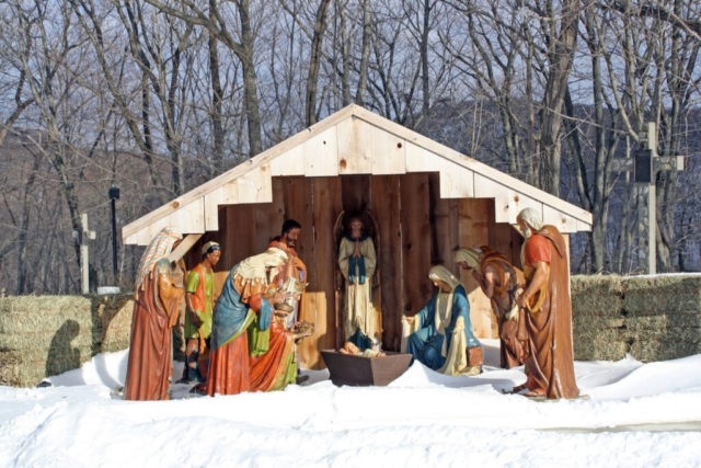 Creche Christmas Display 2
