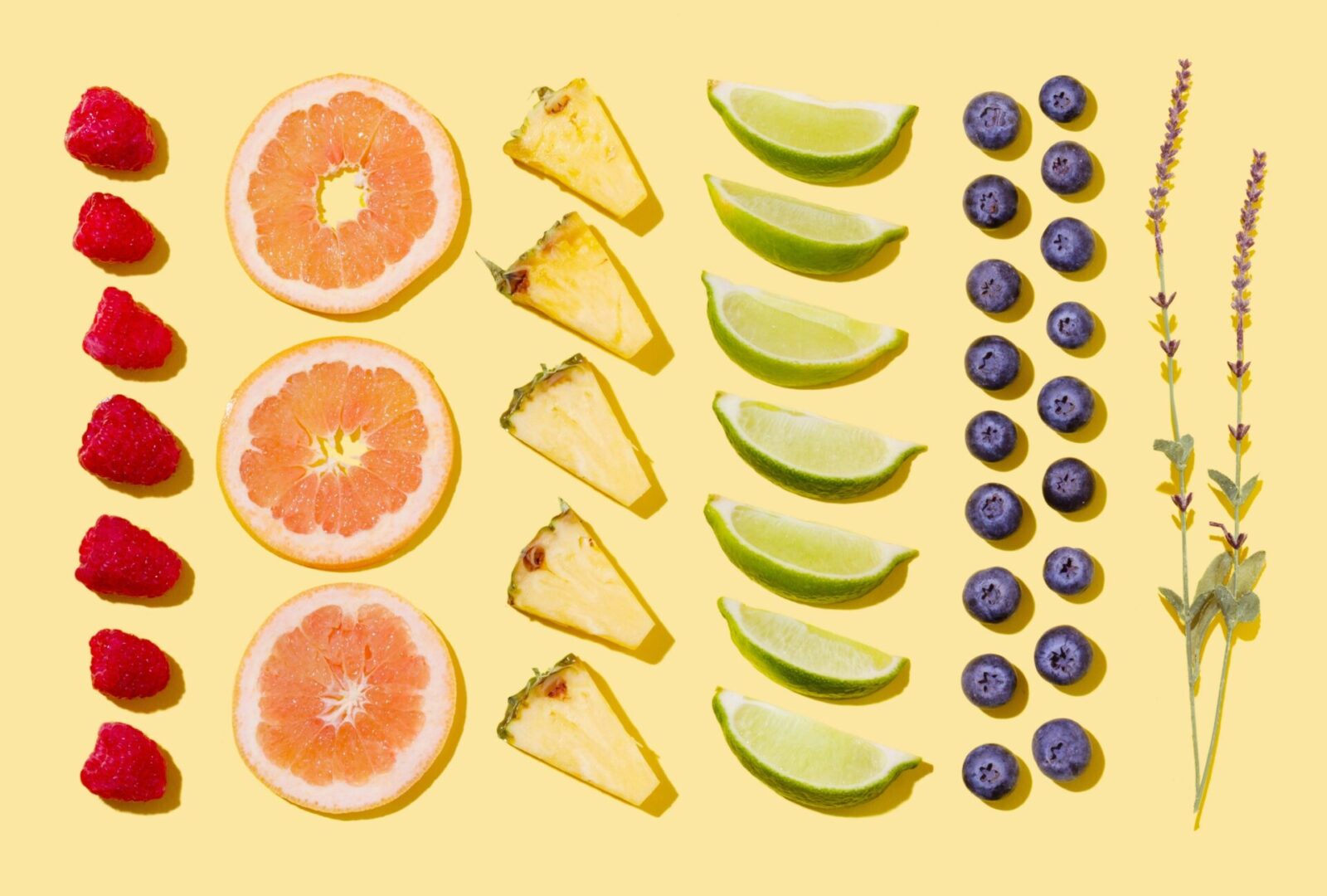 The Four Pillars of Wellness Program