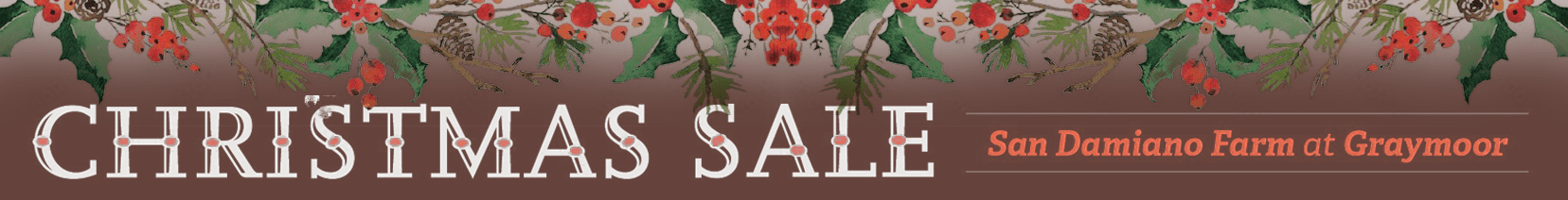 FFA-2025-12-05-Christmas Sale Header-Desktop