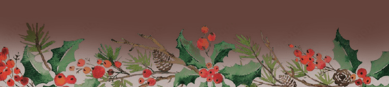FFA-2025-12-05-Christmas Sale Header-Mobile Popup