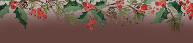 FFA-2025-12-05-Christmas Sale Header-Mobile Popup